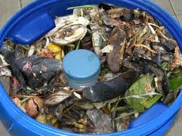 images_032
